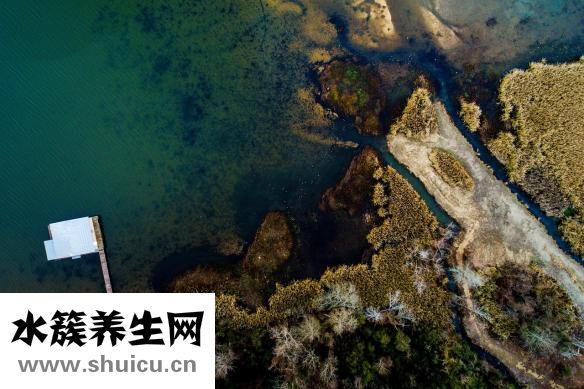 兒童近視眼怎么恢復