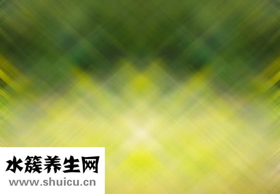 大便綠色怎么回事