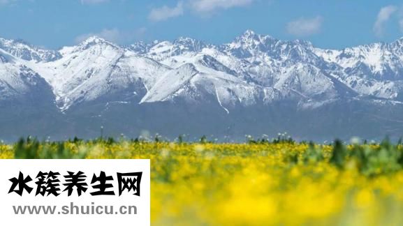 立春是什么時(shí)候