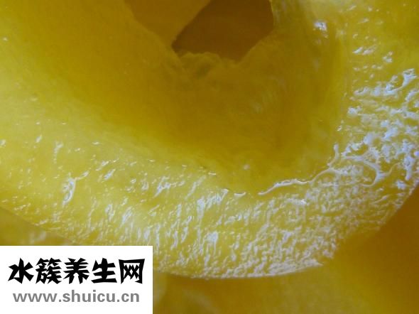 哺育的近義詞是什么