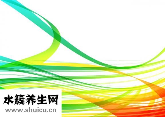 曲姿減肥藥怎么樣