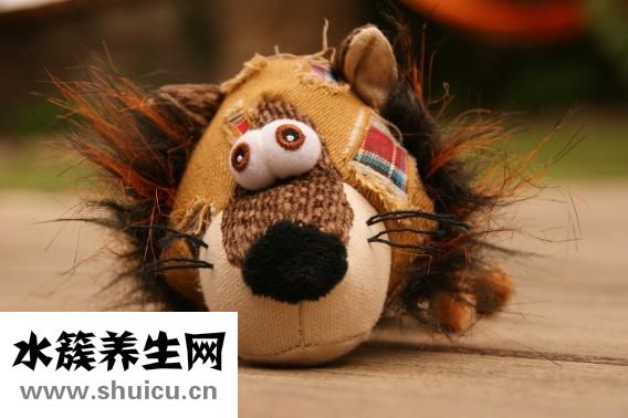 北極熊為什么不怕冷