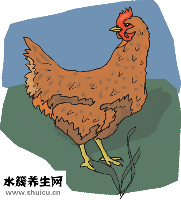 雞翅木手串怎么樣