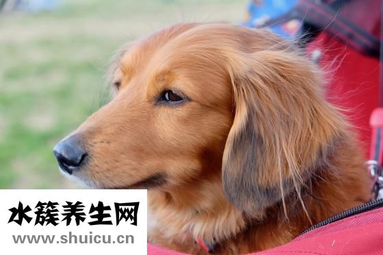 寶寶濕疹怎么治療