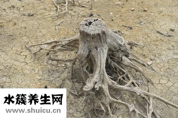 單眼皮如何化妝