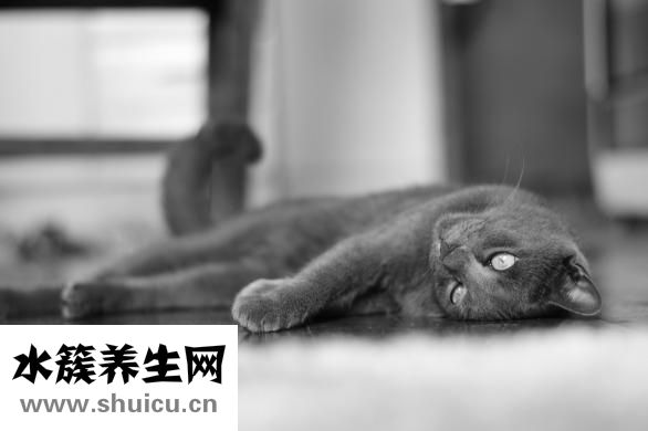 單眼皮如何化妝