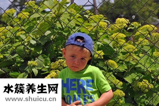 二胎準生證如何辦理