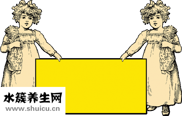 光明汽車玻璃怎么樣