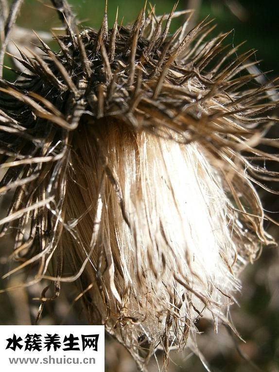 申瑞助聽(tīng)器怎么樣