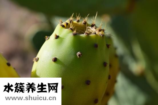 中秋節(jié)為什么吃月餅