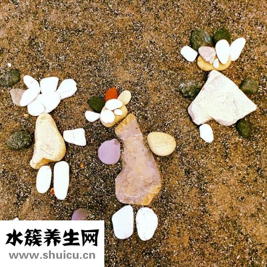 如何辦理獨生子女證