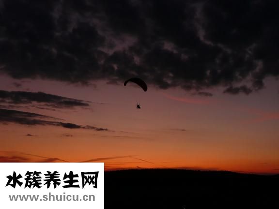 用什么方法減肥