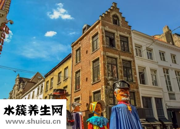 毒蘑菇吃了會(huì)怎么樣