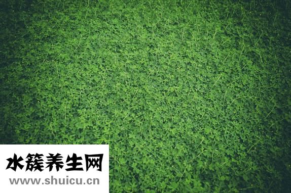 大便綠色怎么回事