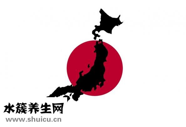 港版媽咪寶貝怎么樣