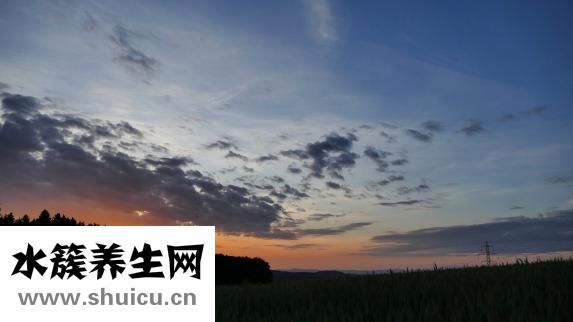 云集微店怎么樣