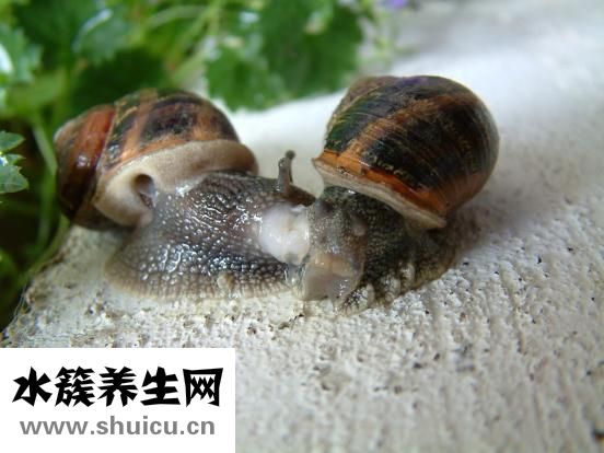 路伊梵健身服怎么樣