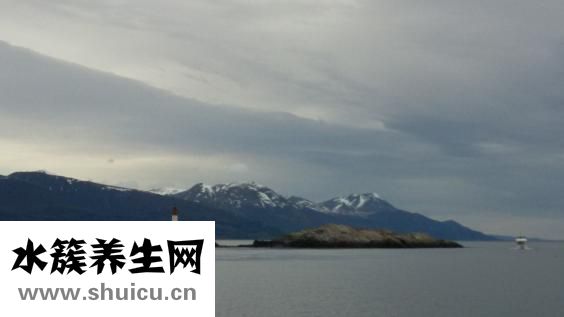 南方有什么水果