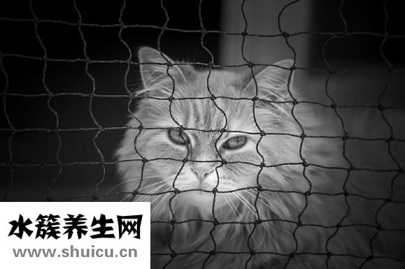 怎么樣可以變雙眼皮