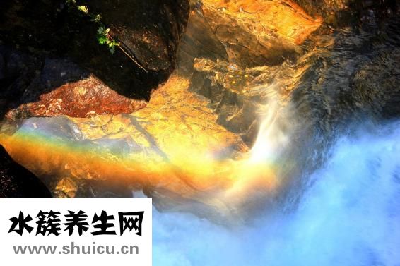 用什么方法減肥