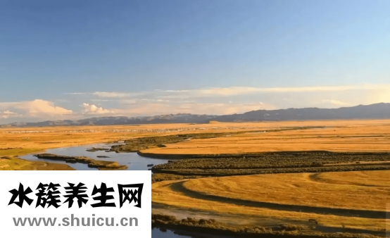 云集微店怎么樣