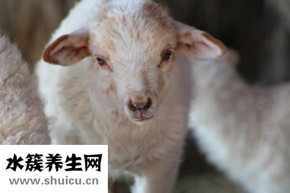 怎么給寶寶換奶粉