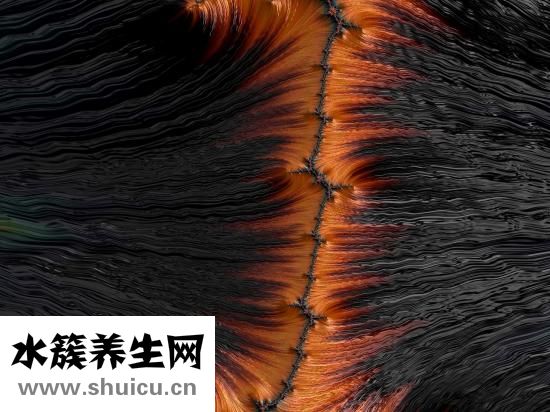 頭發比較稀疏怎么辦