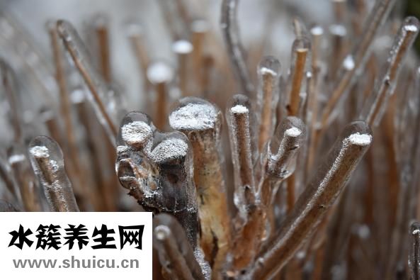 雅漾潔膚凝膠怎么樣