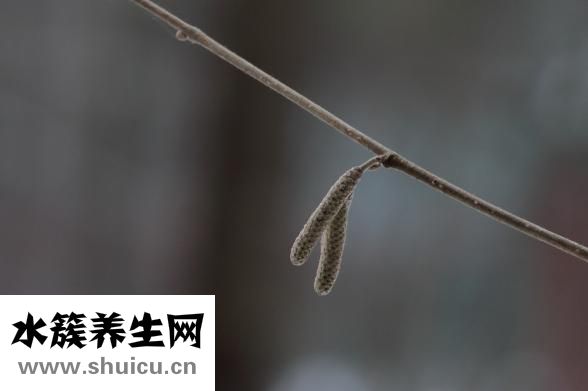 骨性關(guān)節(jié)炎吃什么藥