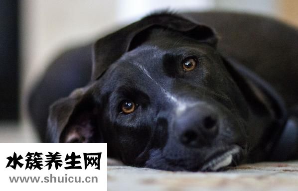 懷孕了發(fā)燒怎么辦