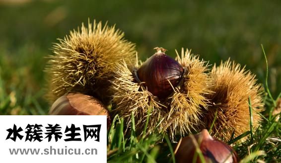 圣元蜜星客怎么樣