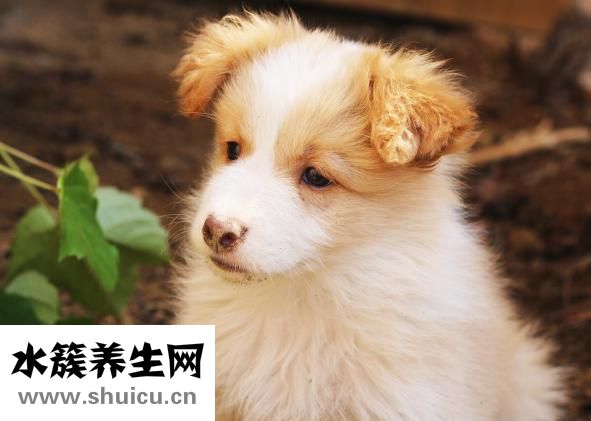 流產后多久會來月經