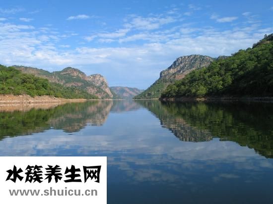 怎么樣分辨白癜風(fēng)