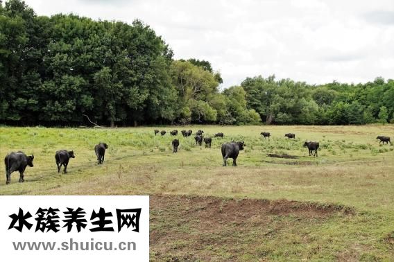 有高原反應怎么辦