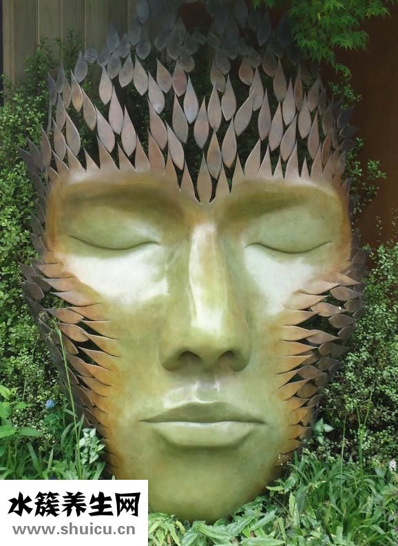 張朝蕾整形怎么樣