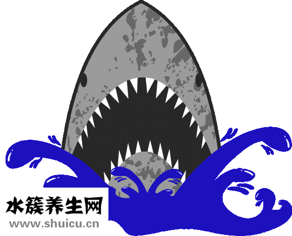 什么能吸收甲醛