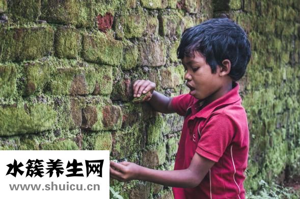 非誠勿擾楊凱怎么樣