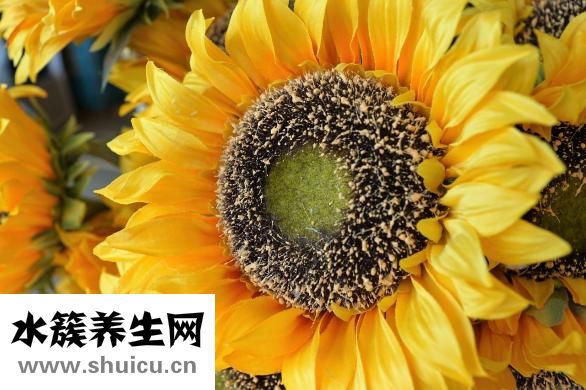 樂淘淘食品怎么樣