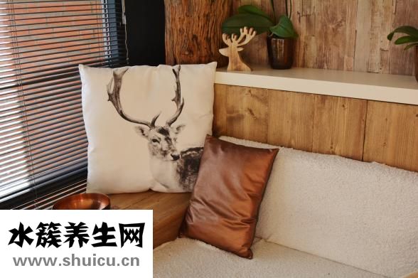 什么能吸收甲醛