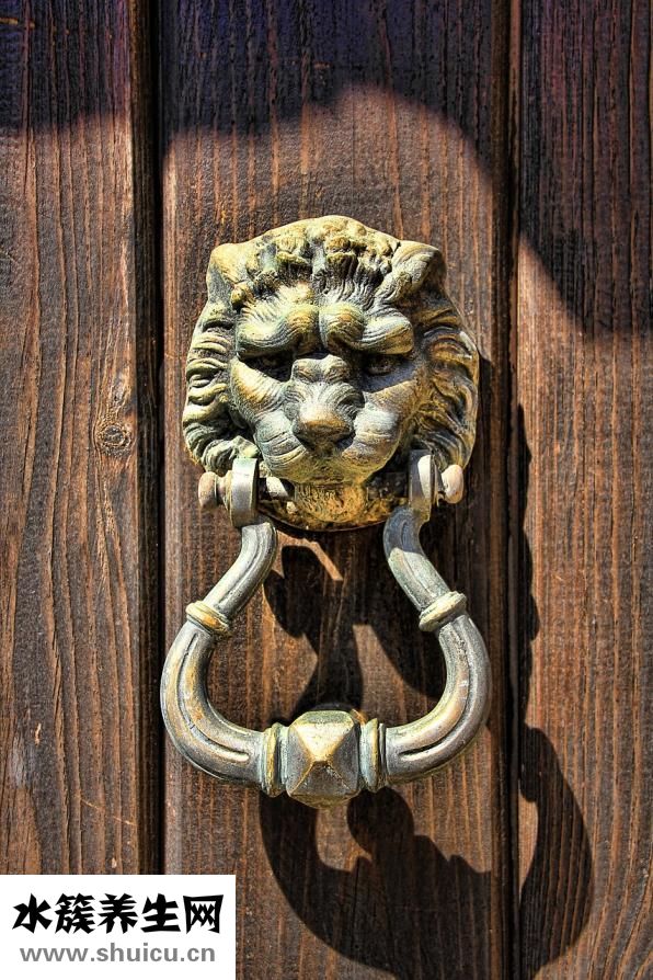 白獅子頭皮質怎么樣