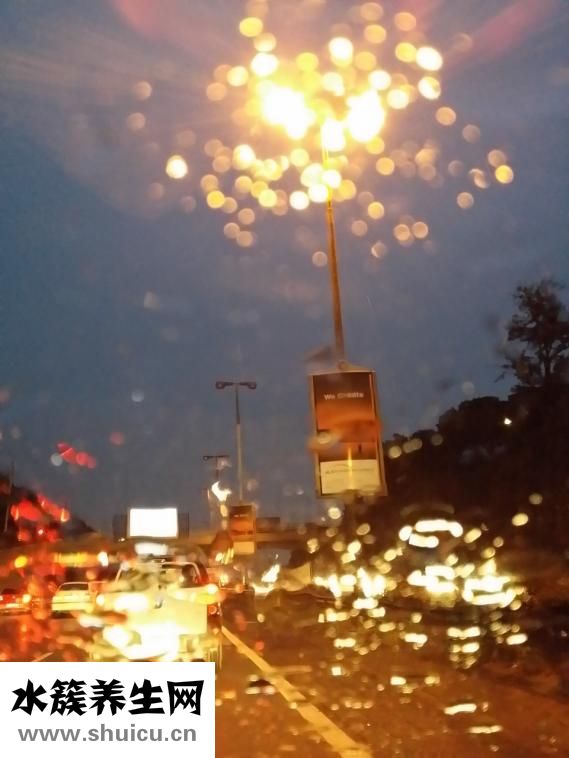 什么隱形眼鏡好