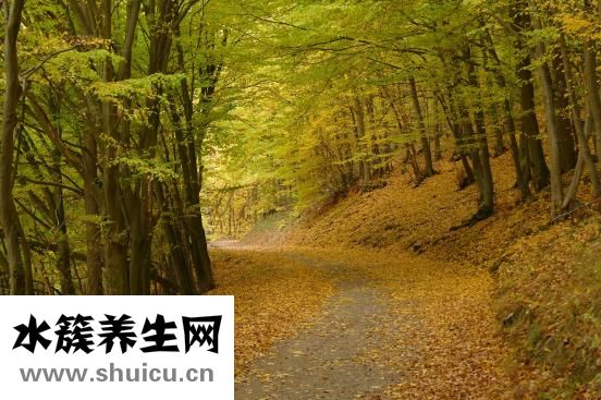 為什么得牛皮屑