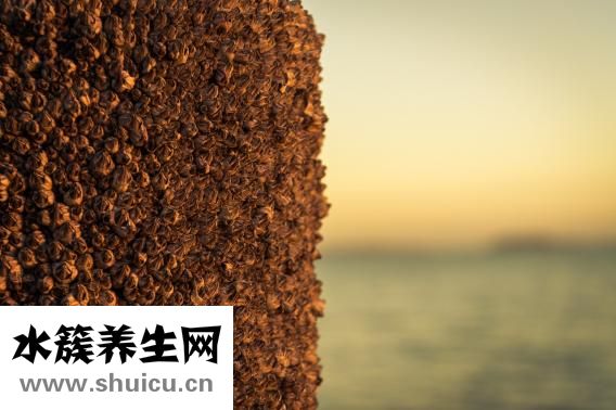 怎么樣長多頭發