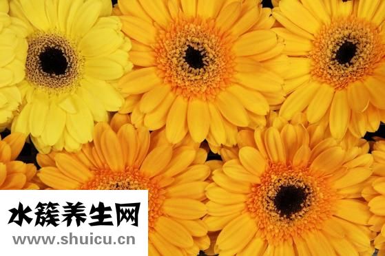 大腳骨該怎么辦