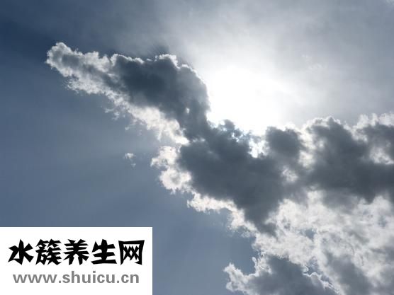 三樂嬰兒推車怎么樣