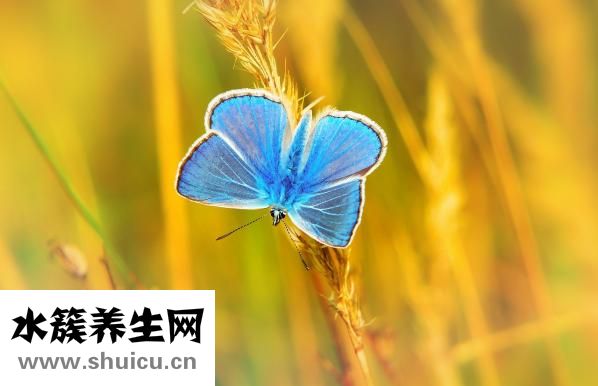 不激勵(lì)會(huì)怎么樣