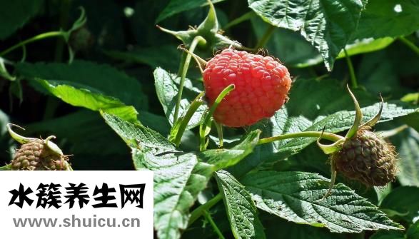 怎么減少紅血絲