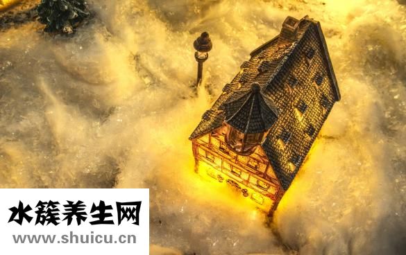 怎么樣預防蜈蚣