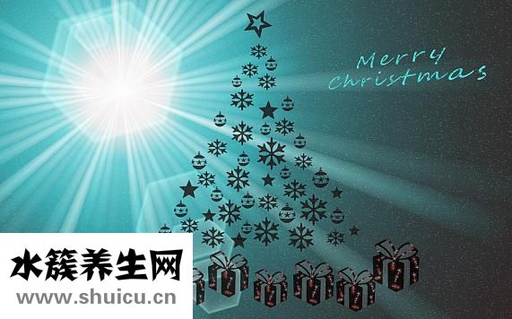 觀視界眼鏡怎么樣