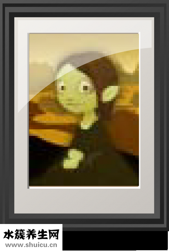 法麗莎家具怎么樣